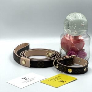 Louis Vuitton Set za pse (povodac i ogrlica)